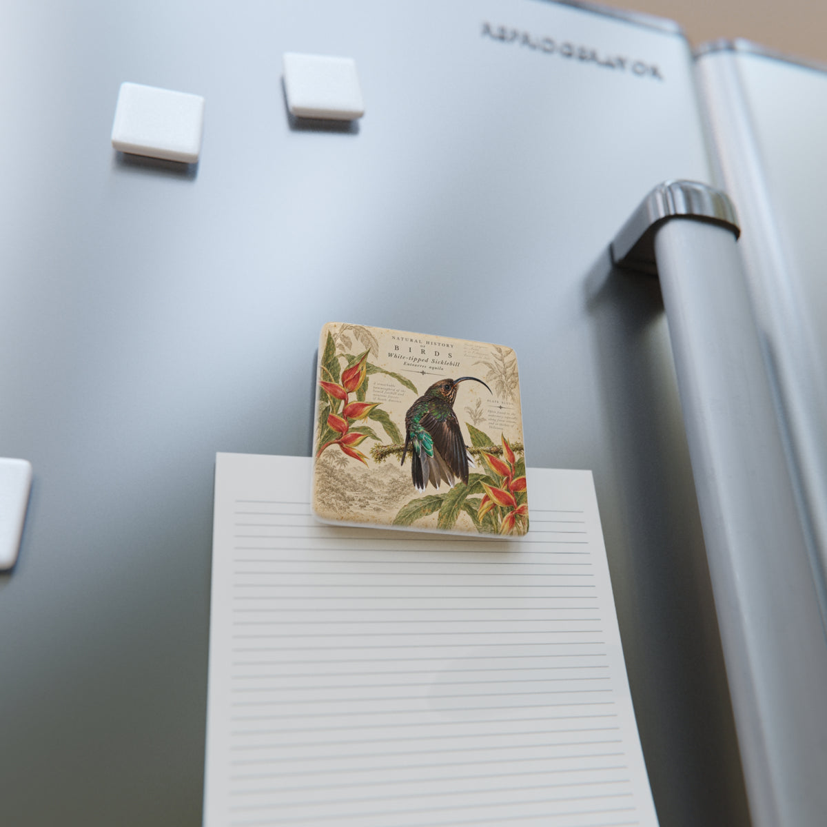 White-tipped Sicklebill Porcelain Tile Magnet