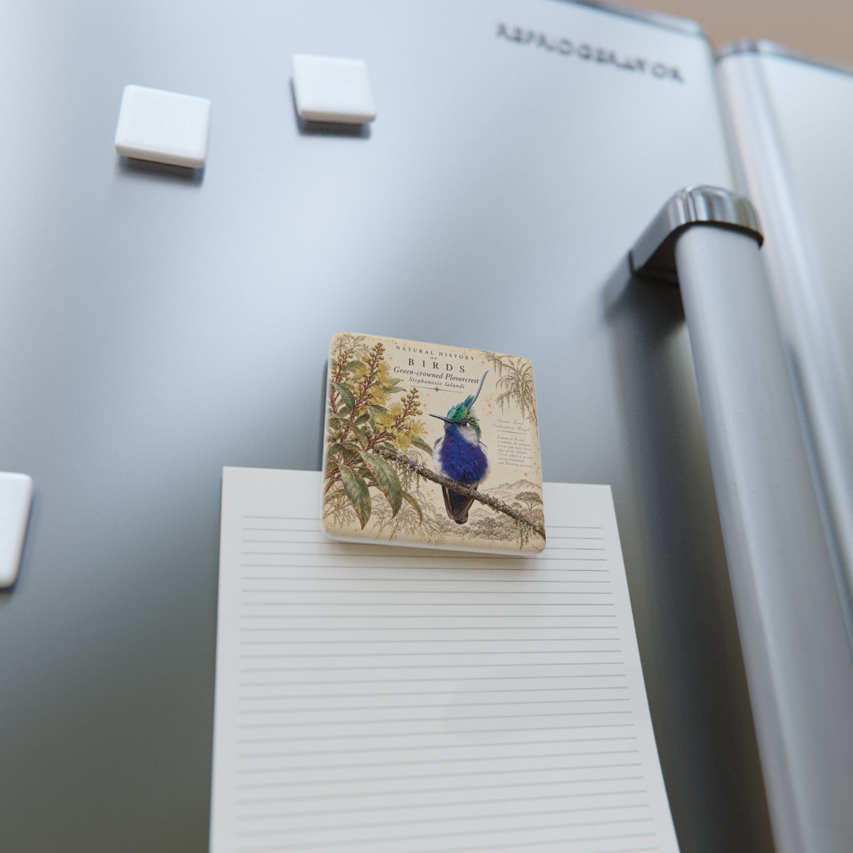 Green-crowned Plovercrest Tile Magnet