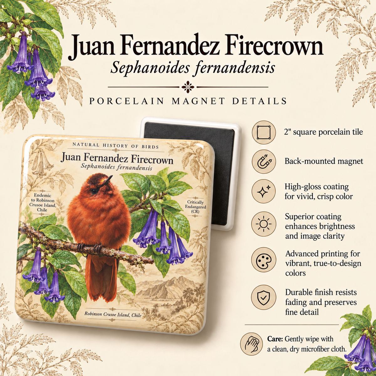 Juan Fernández Firecrown Porcelain Magnet