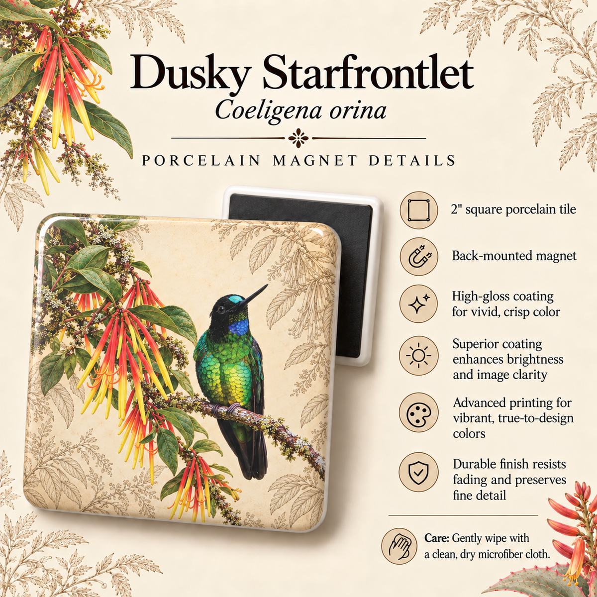 Dusky Starfrontlet Porcelain Magnet