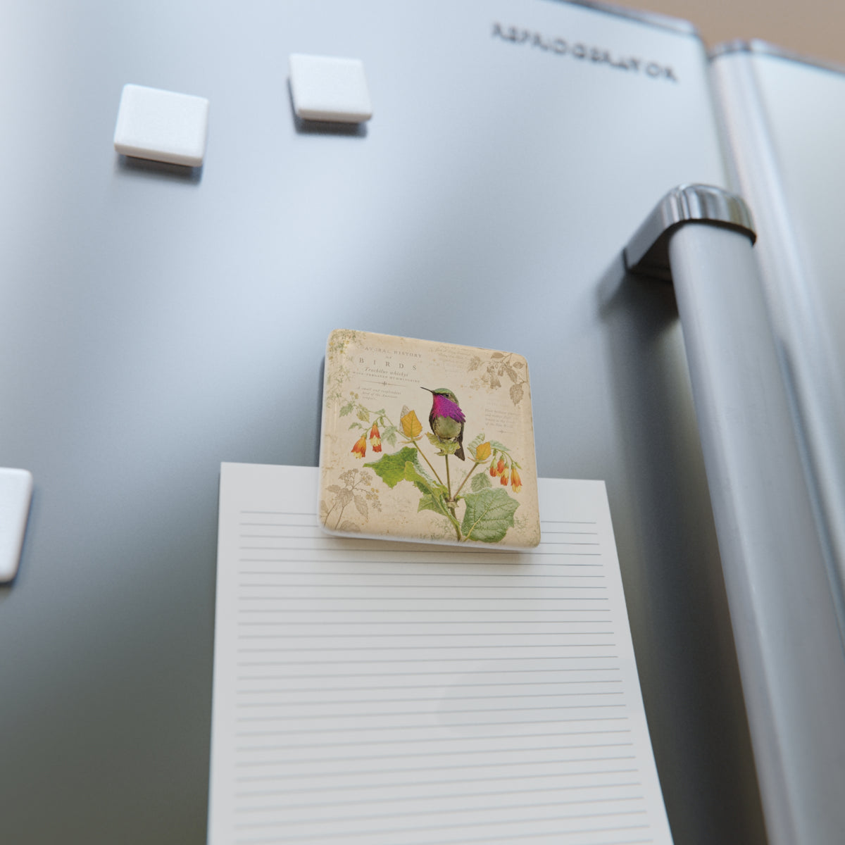 Wine-throated Hummingbird Porcelain Tile Magnet