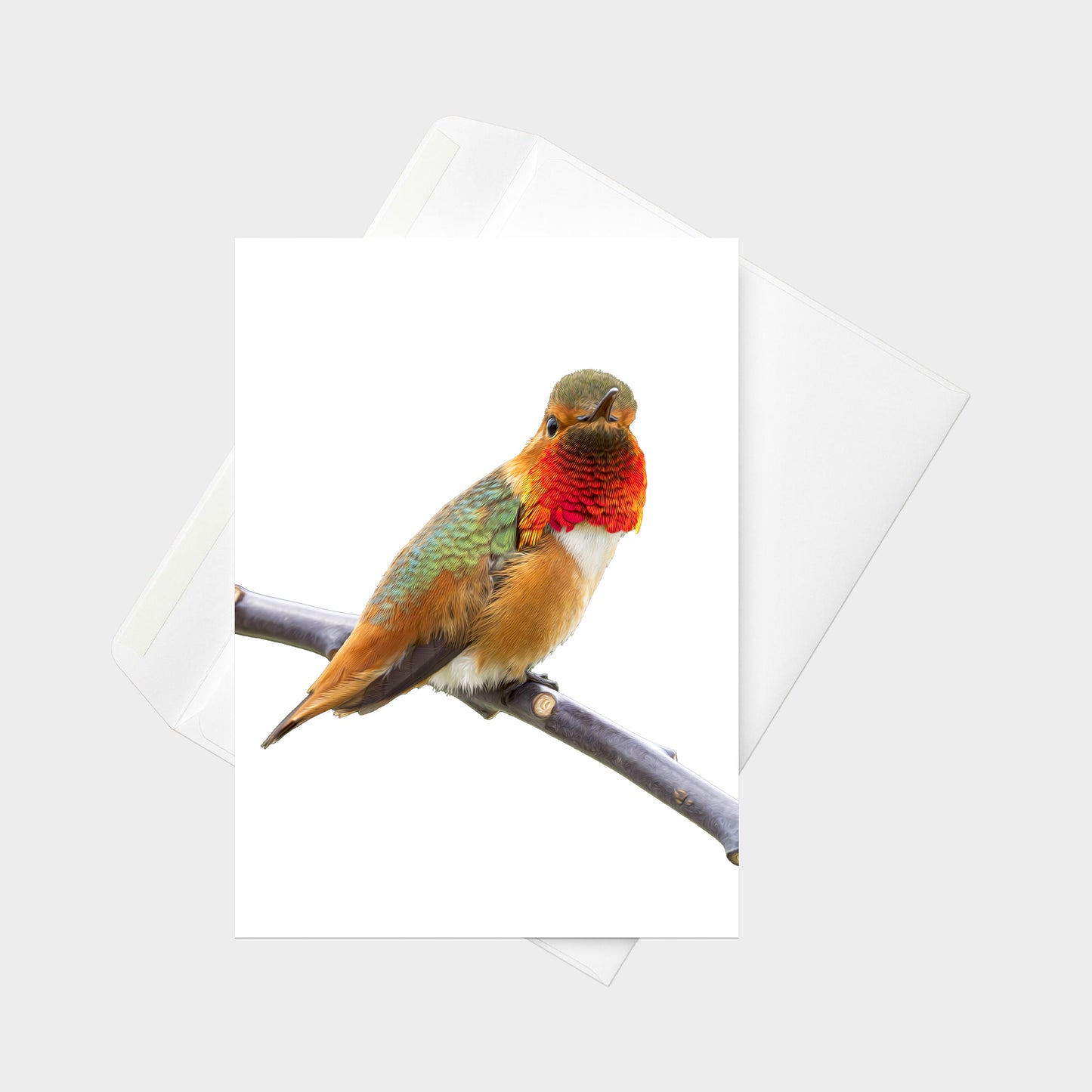 Allen’s Hummingbird note card back view