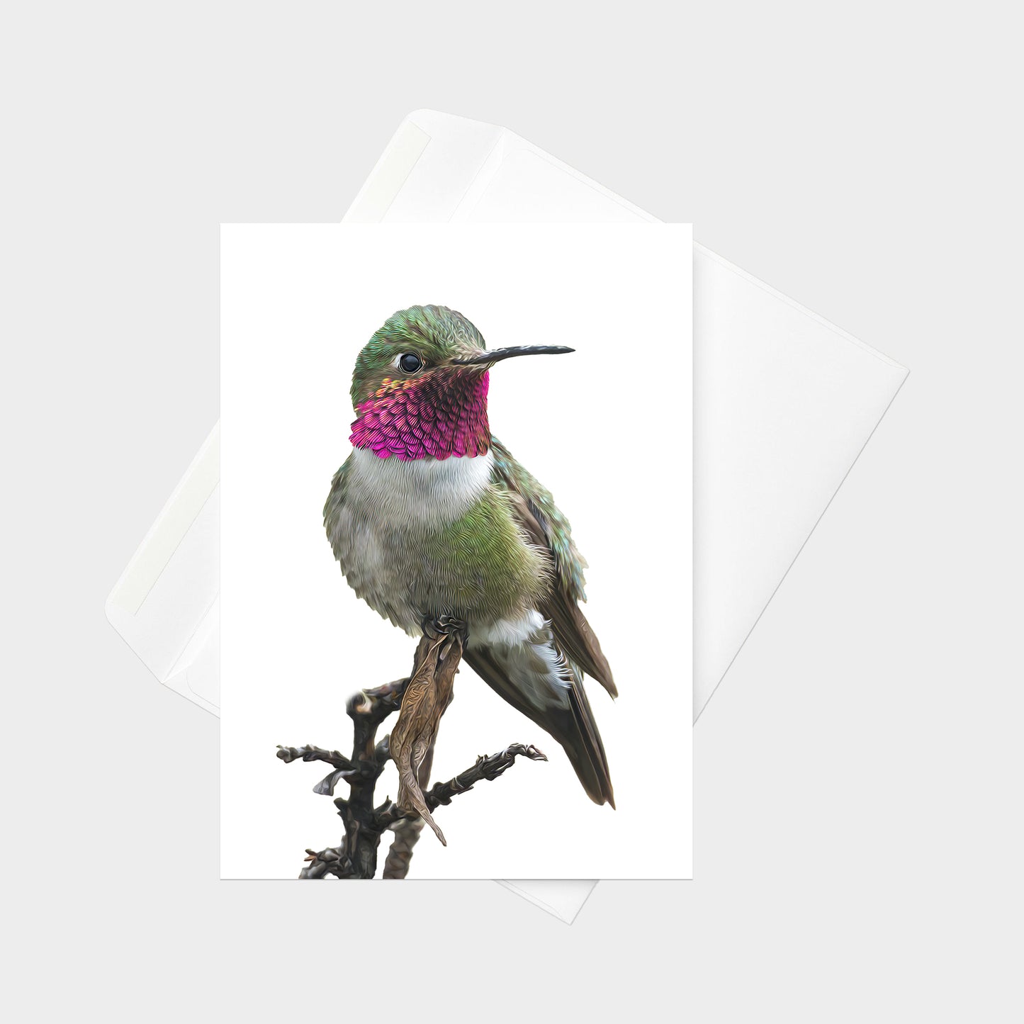 Broad-tailed Hummingbird note card back view