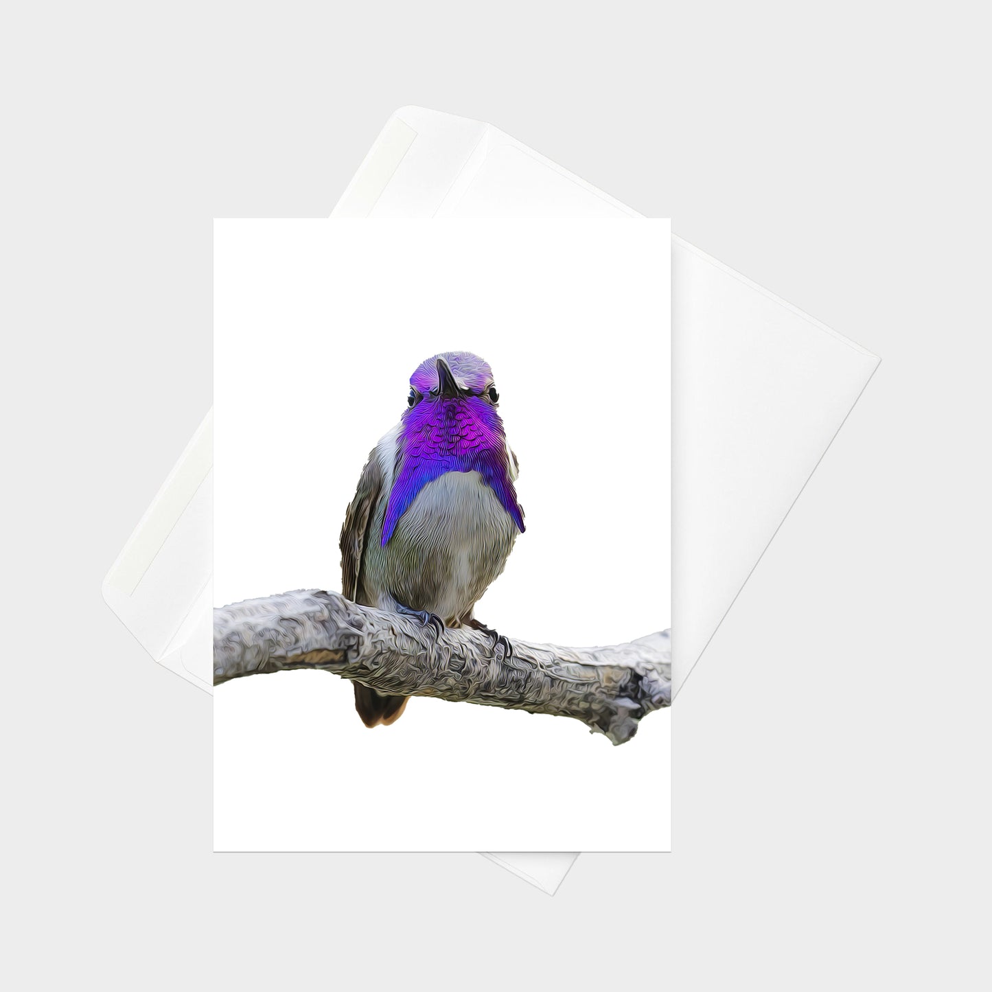 Costa’s Hummingbird note card back view