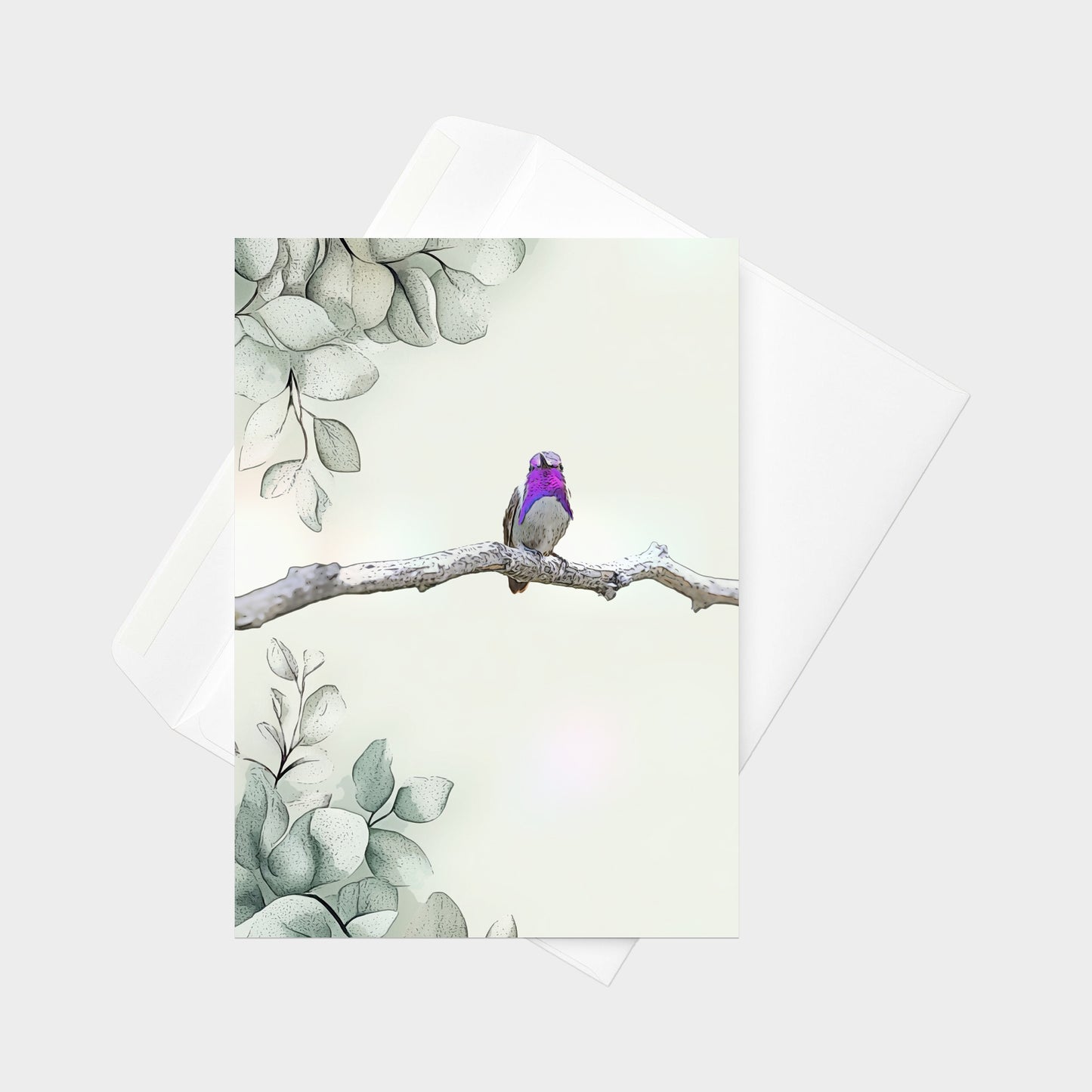 Costa's Hummingbird | 5x7 Note Card