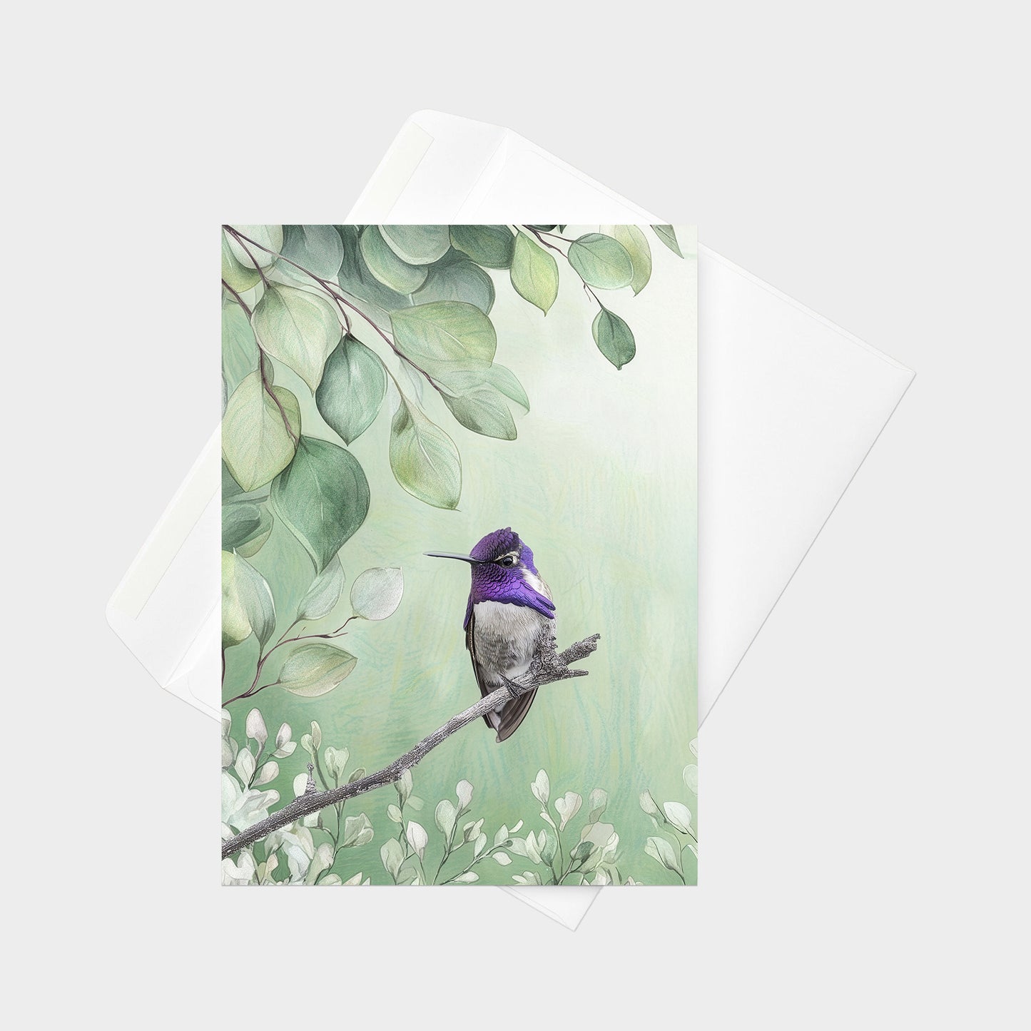 Costa's Hummingbird | 5x7 Note Card