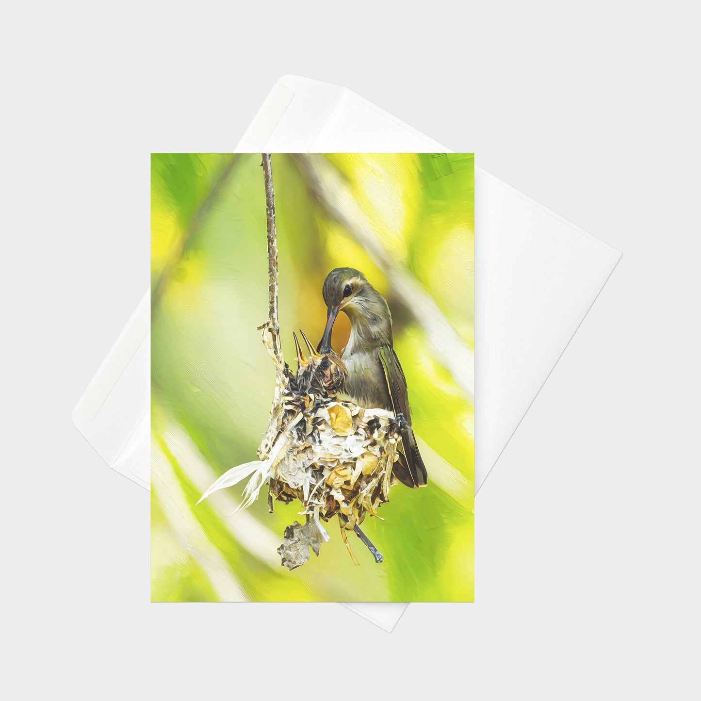 Dusky Hummingbird | 5x7 Note Card