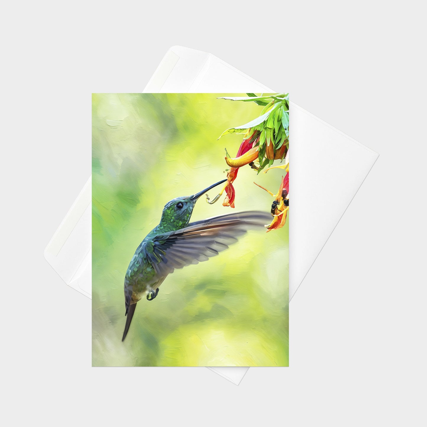 Green-bellied Hummingbird | 5x7 Note Card