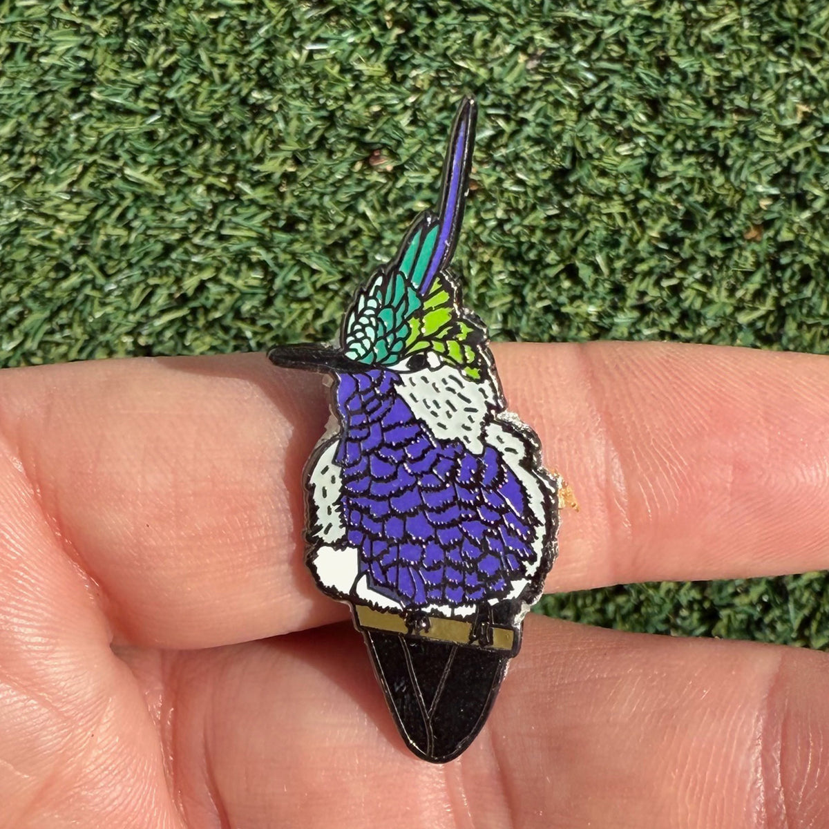 Green-crowned Plovercrest pin in hand
