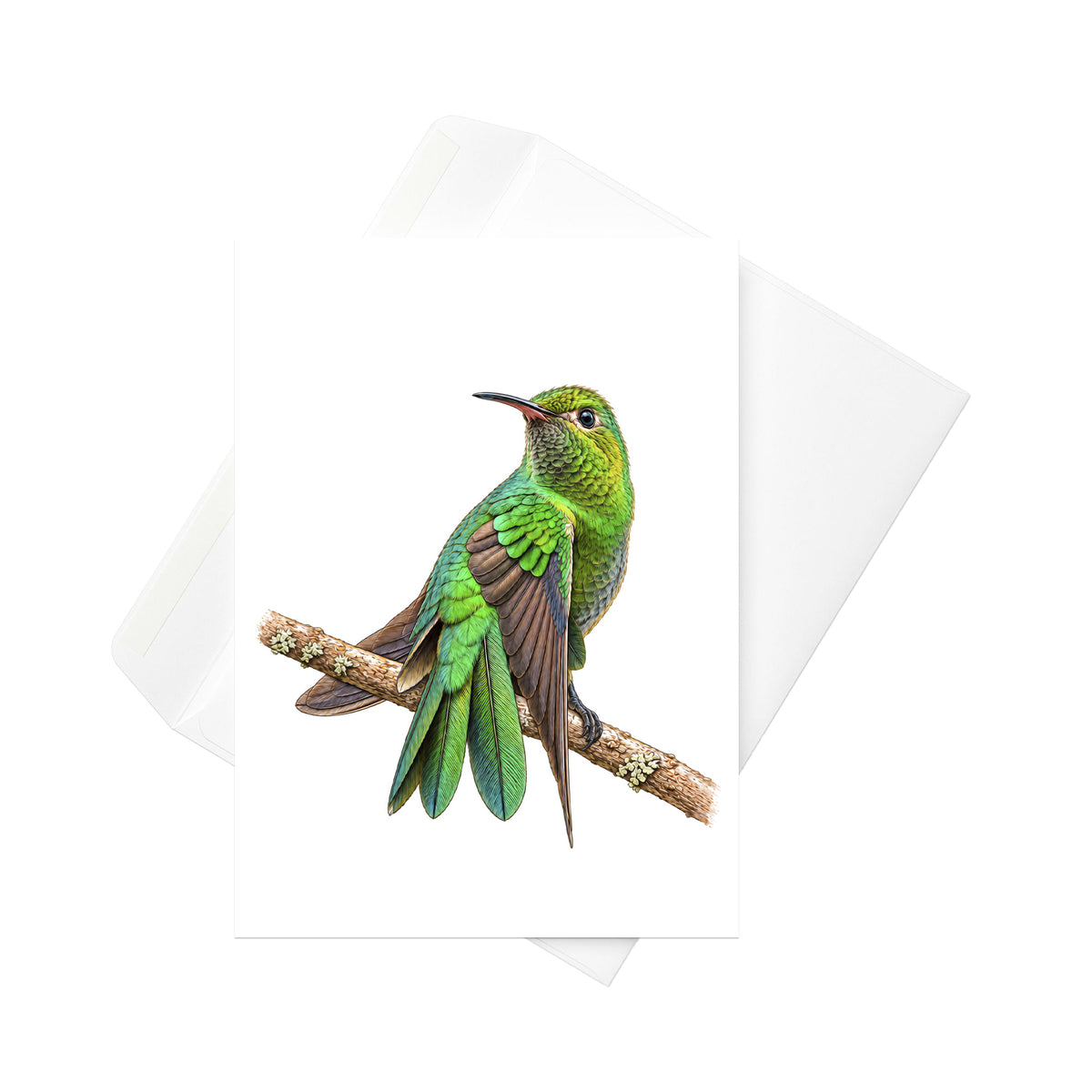 Green-tailed Goldenthroat | 5x7 Note Card