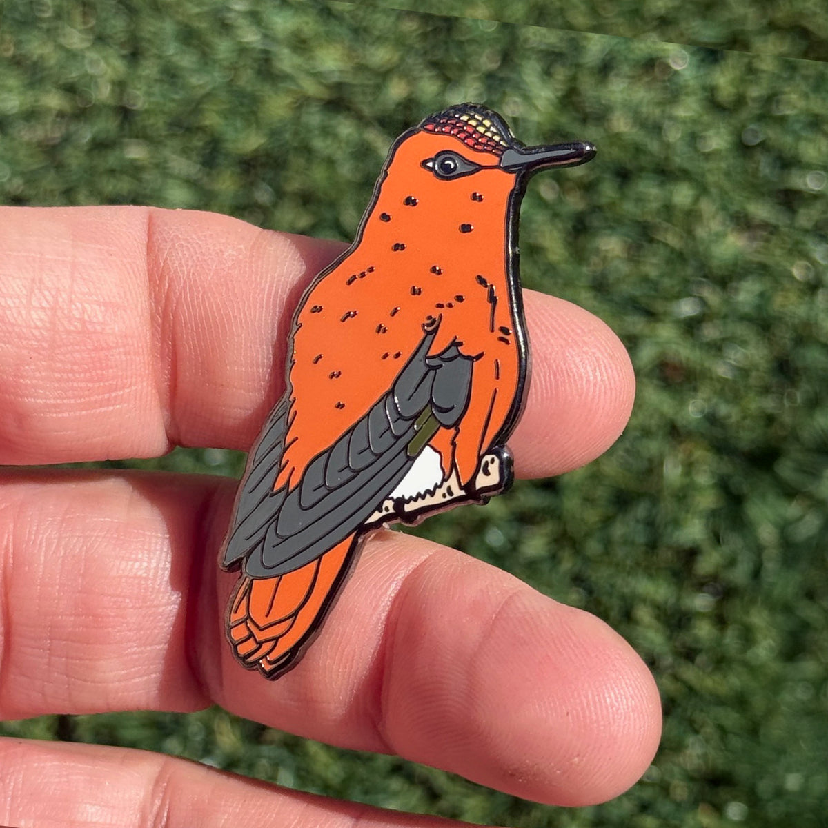 Juan Fernandez Firecrown enamel pin shown in hand
