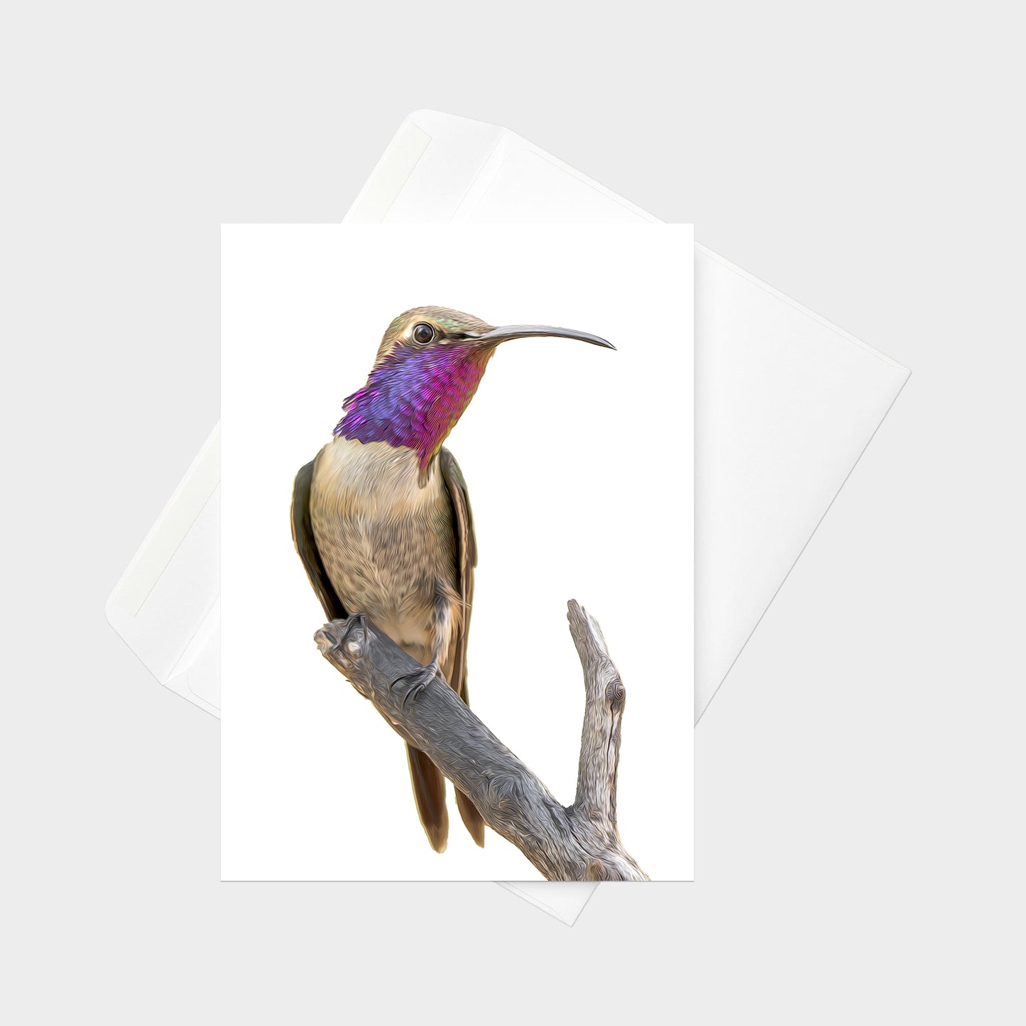 Lucifer Hummingbird note card back view