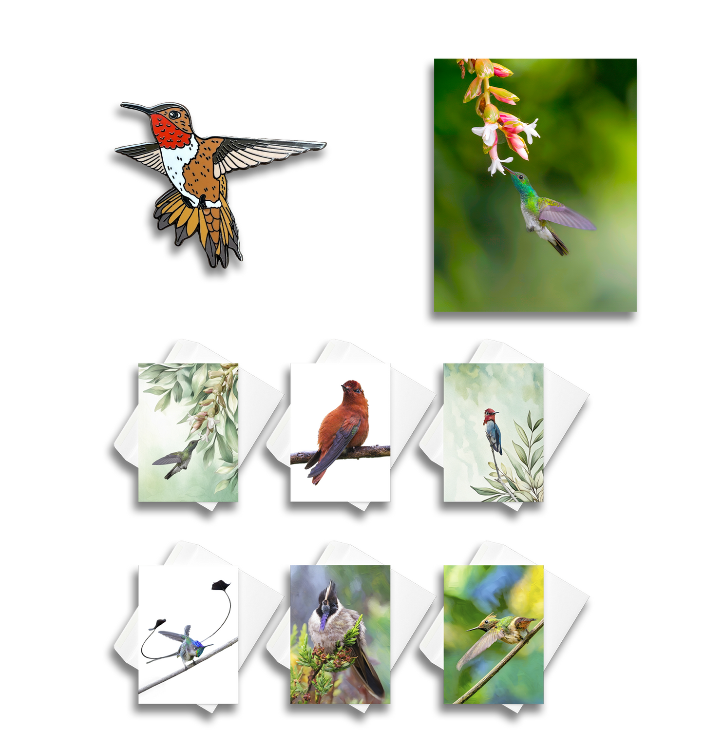 Mangrove Hummingbird Sponsorship $500