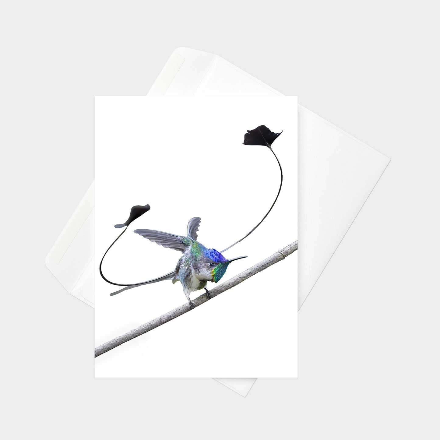 Marvelous Spatuletail note card back view