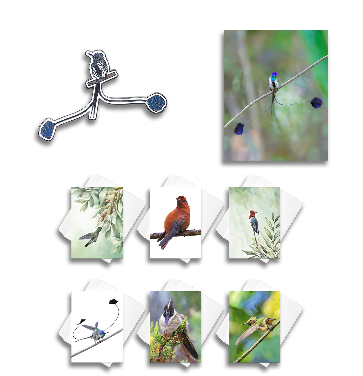 Marvelous Spatuletail Sponsorship $250