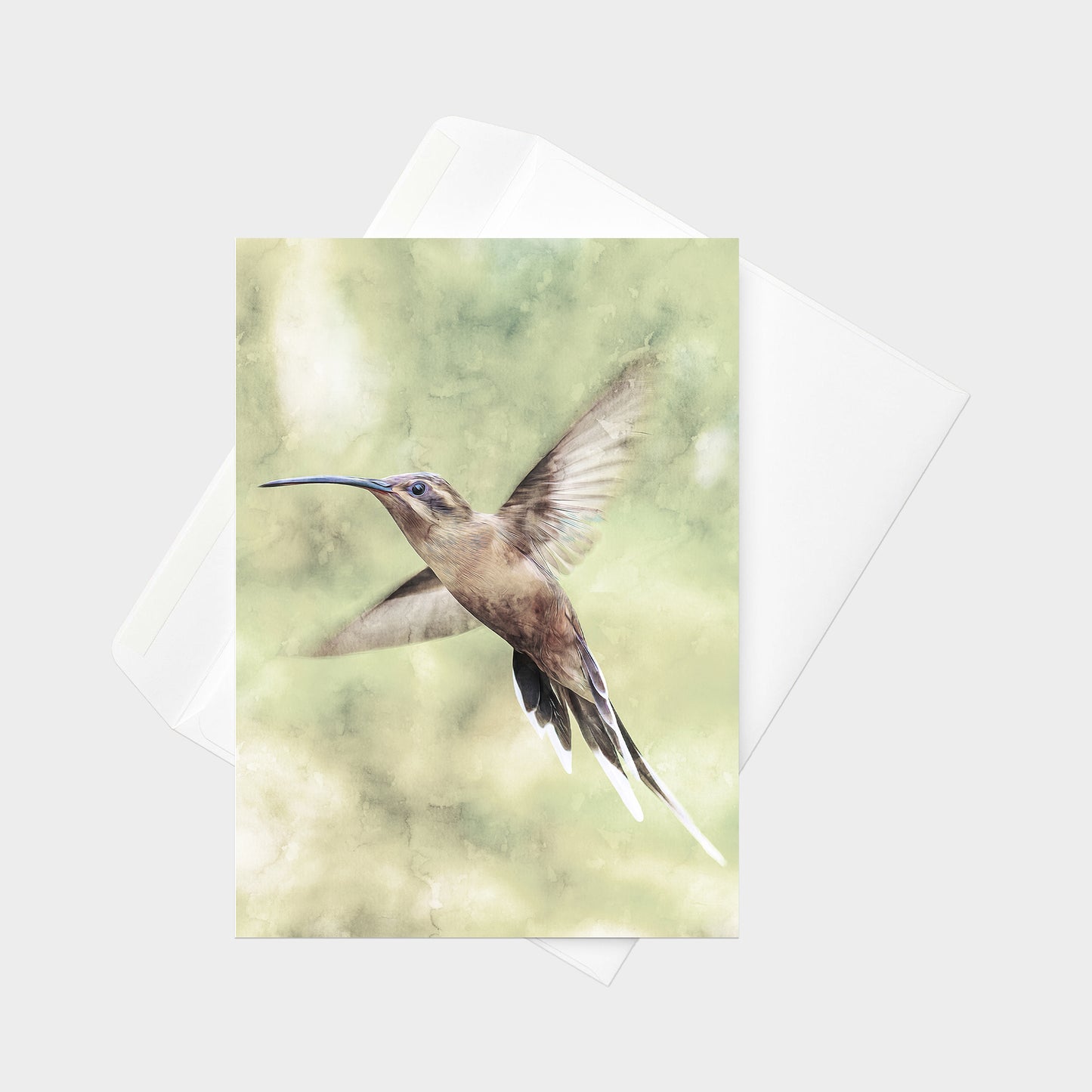 Planalto Hermit note card back view