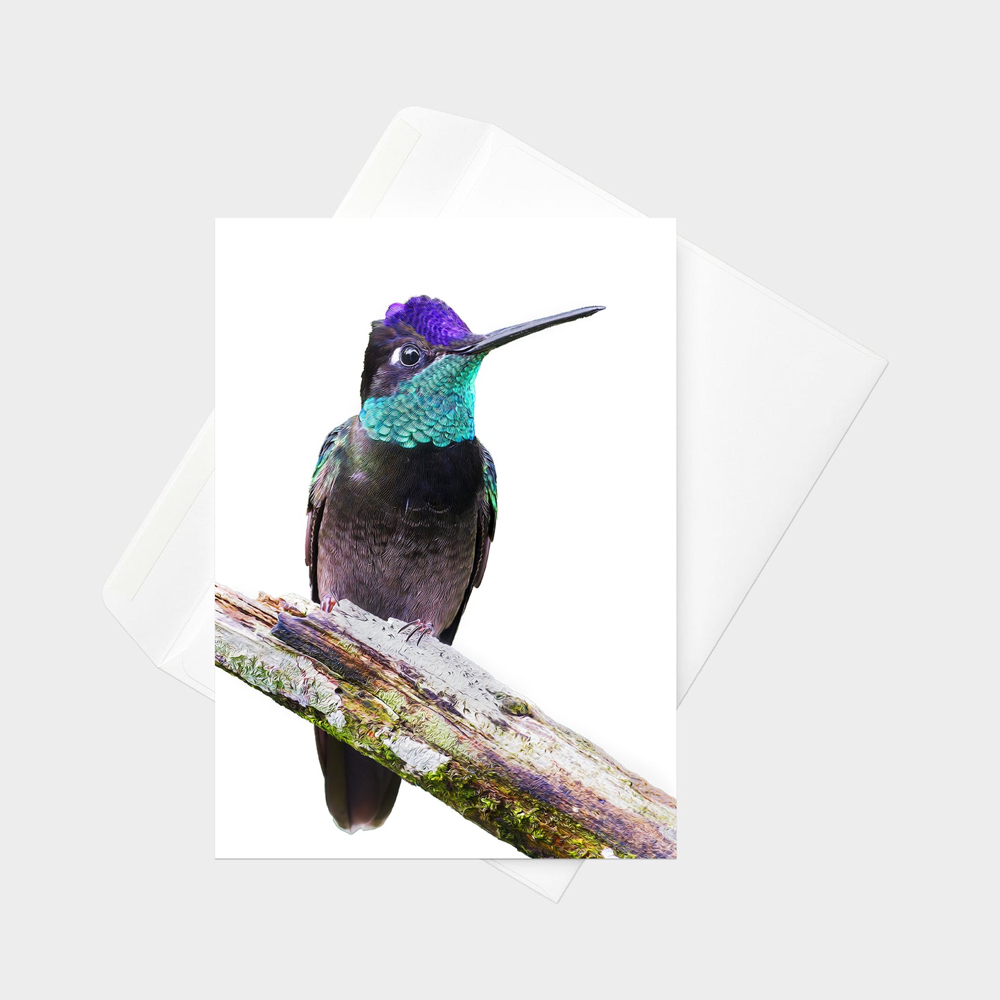 Rivoli’s Hummingbird note card back view