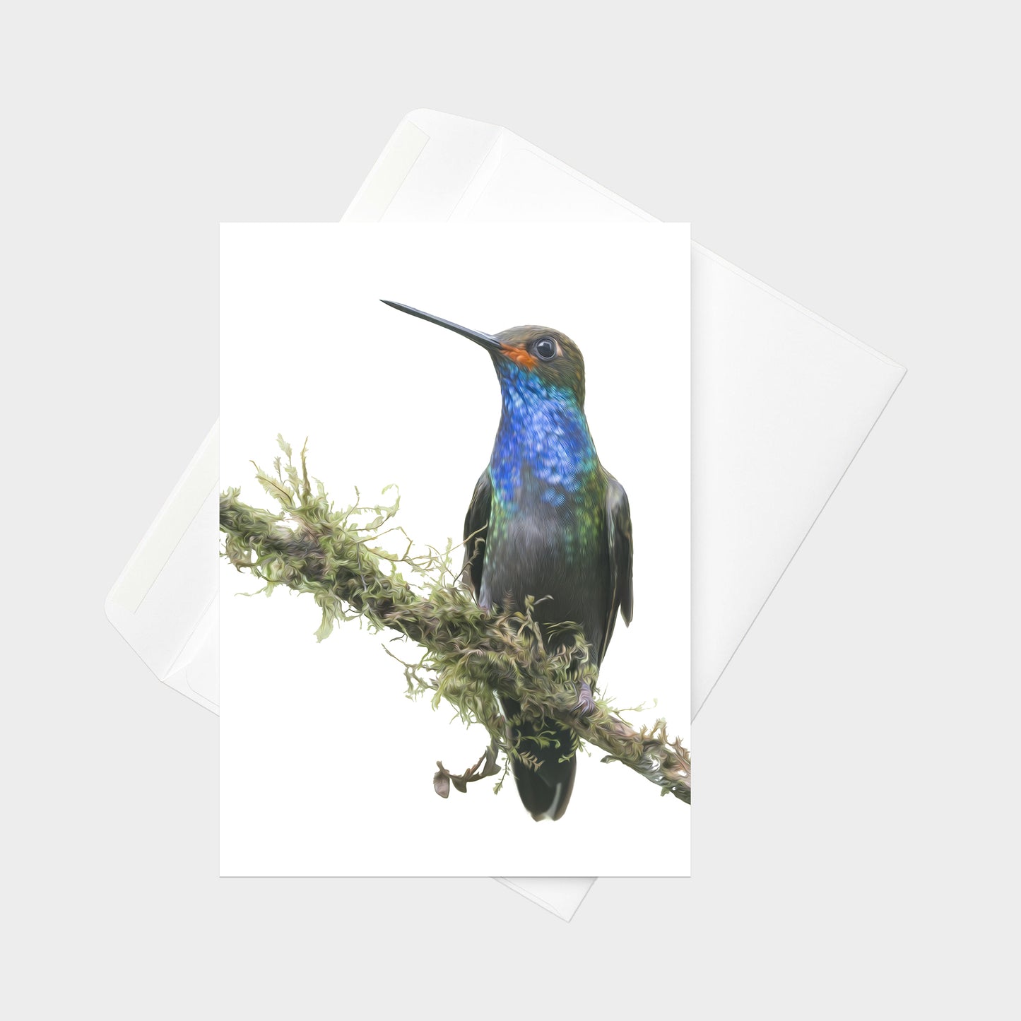 Rufous-gaped Hillstar note card back view