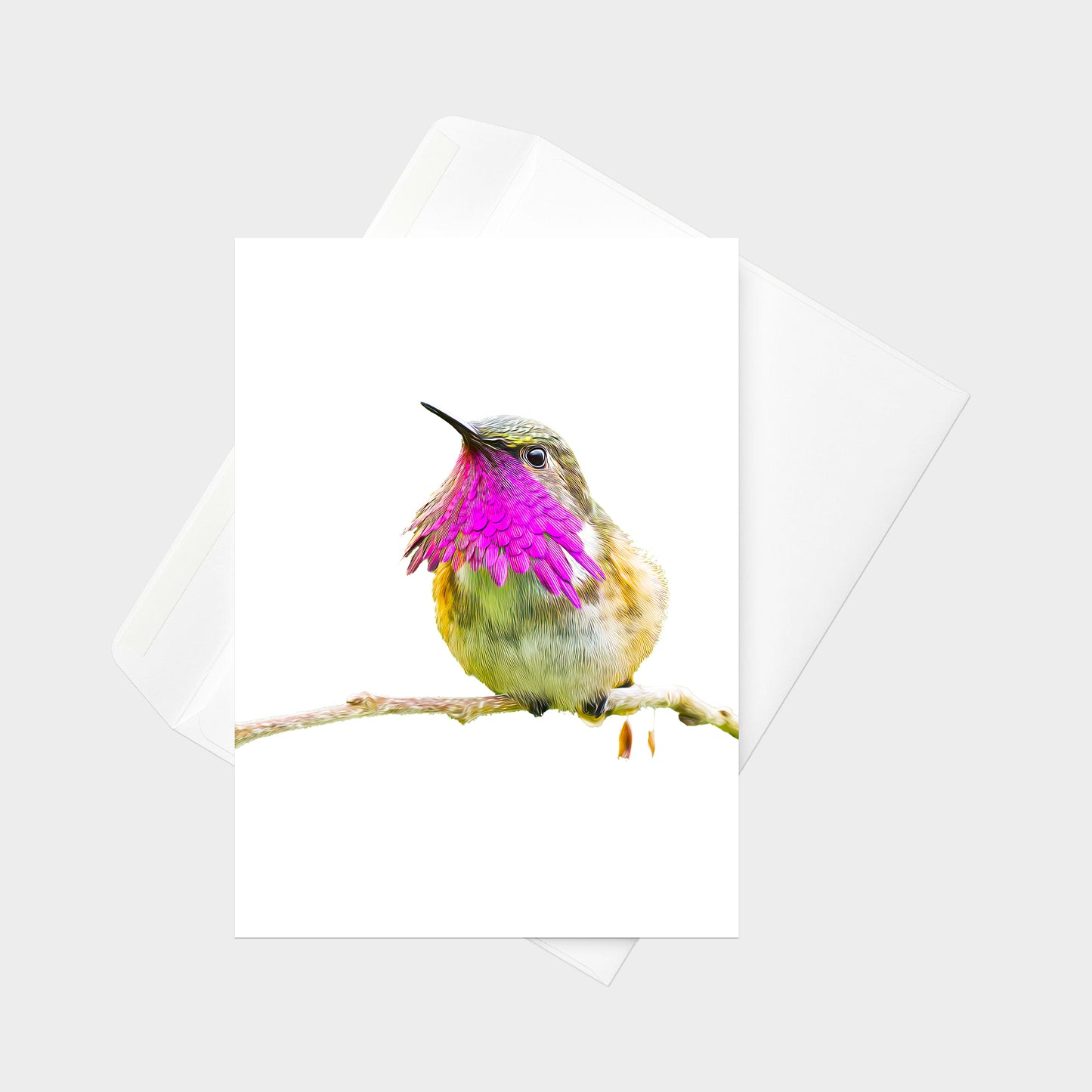 Wine-throated Hummingbird note card back view