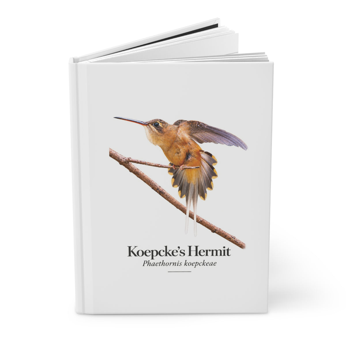 Koepcke’s Hermit Hardcover Journal