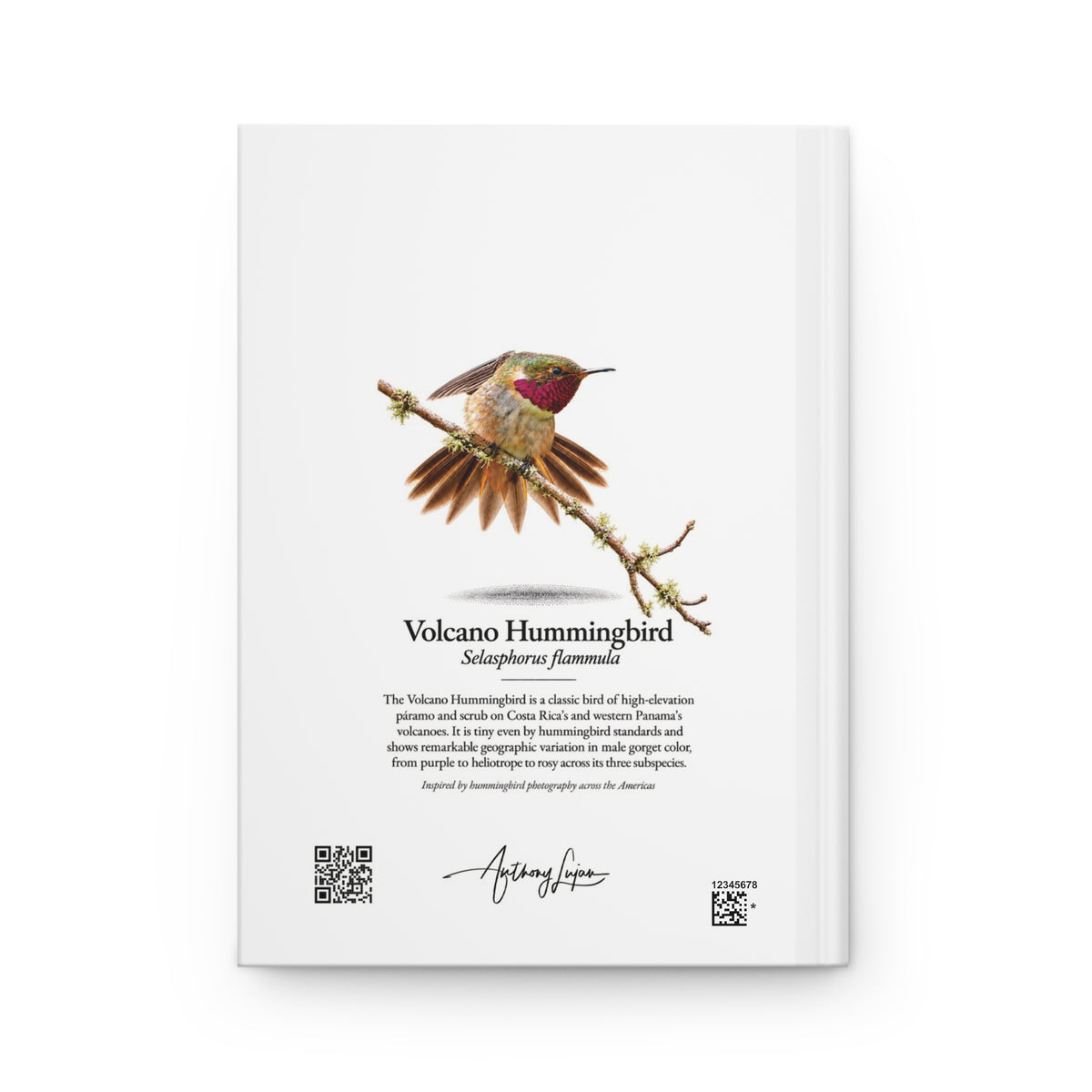 Volcano Hummingbird Hardcover Journal
