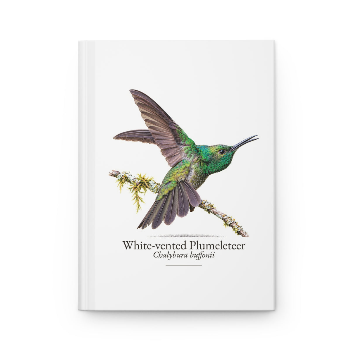 White-vented Plumeleteer Hardcover Journal