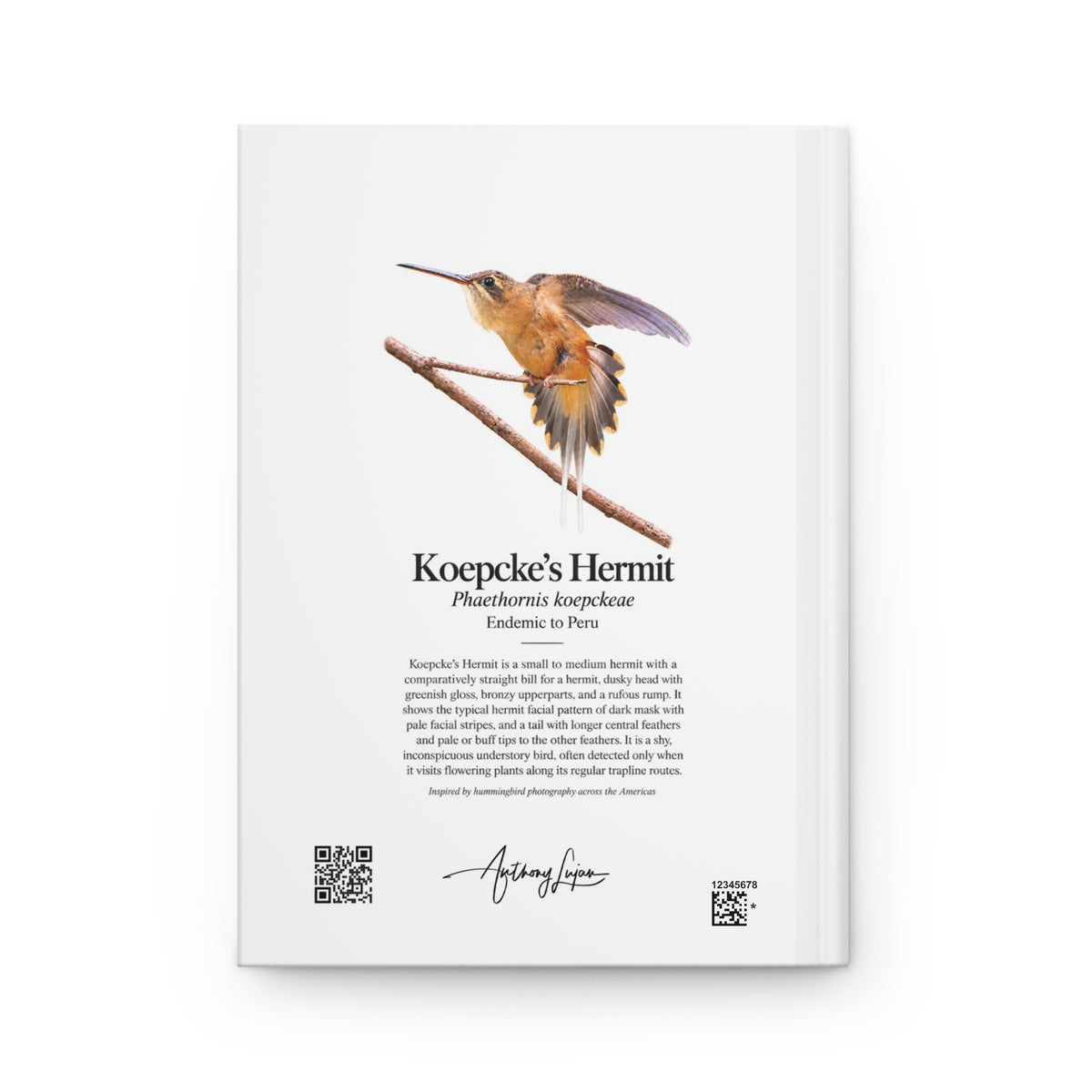 Koepcke’s Hermit Hardcover Journal