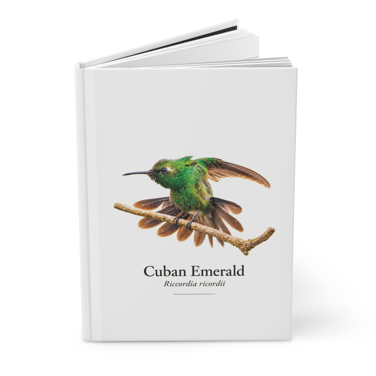 Cuban Emerald Hardcover Journal