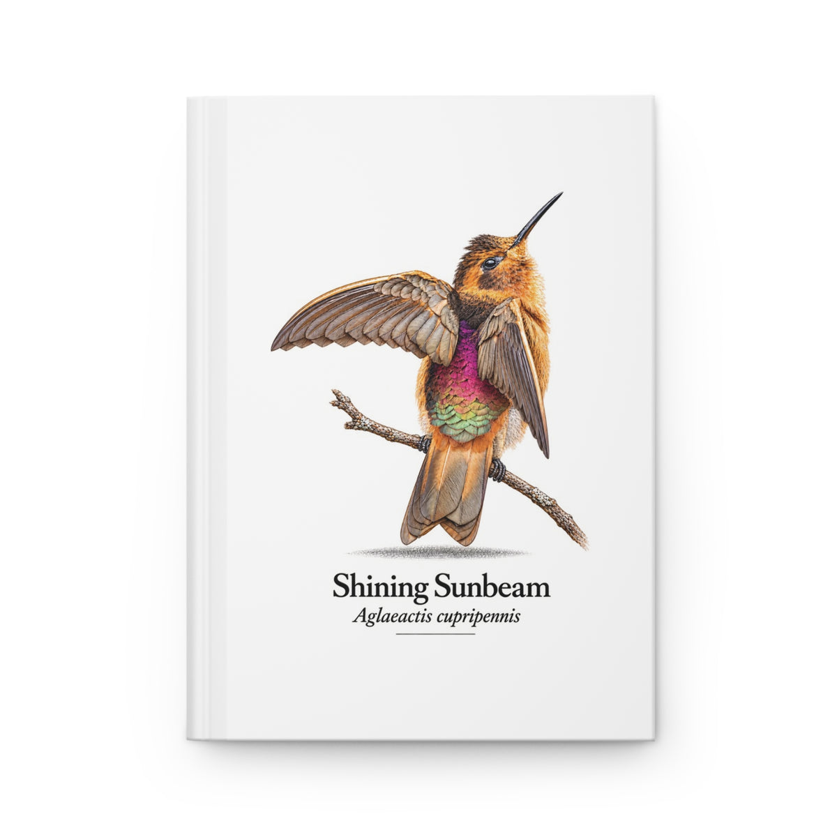 Shining Sunbeam Hardcover Journal