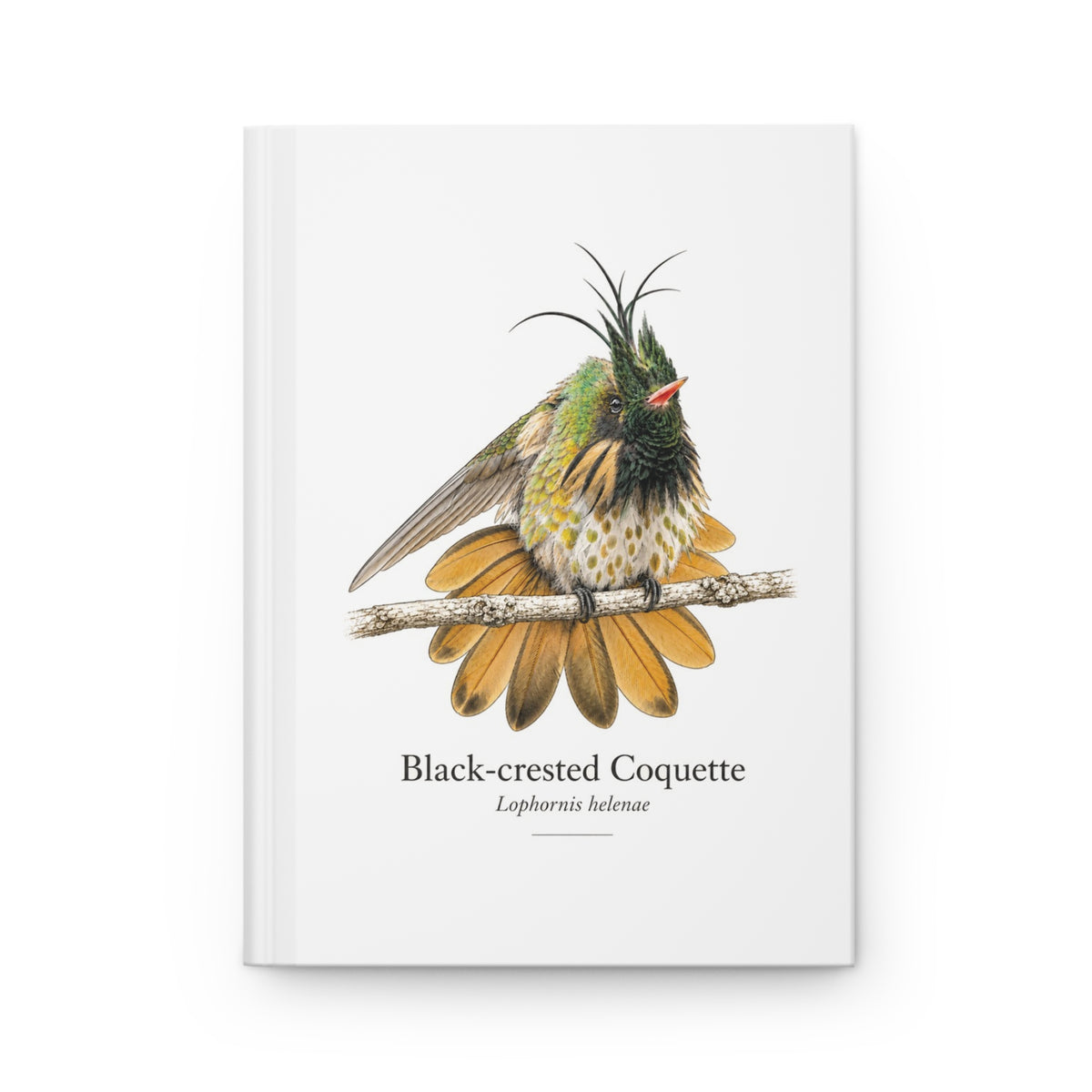 Black-crested Coquette Hardcover Journal