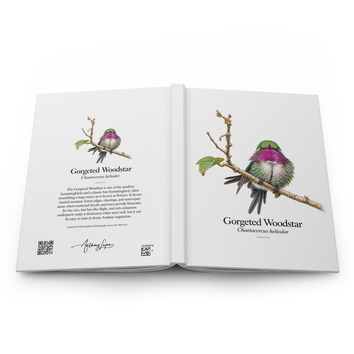 Gorgeted Woodstar Hardcover Journal