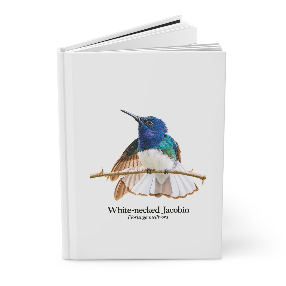 White-necked Jacobin Hardcover Journal