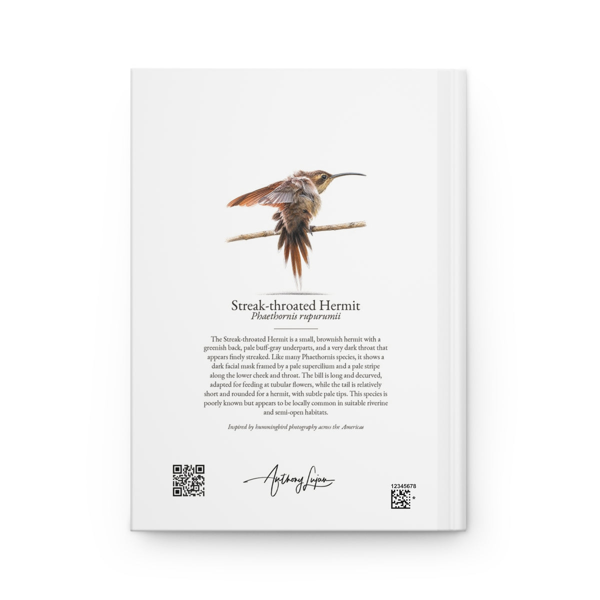 Streak-throated Hermit Hardcover Journal