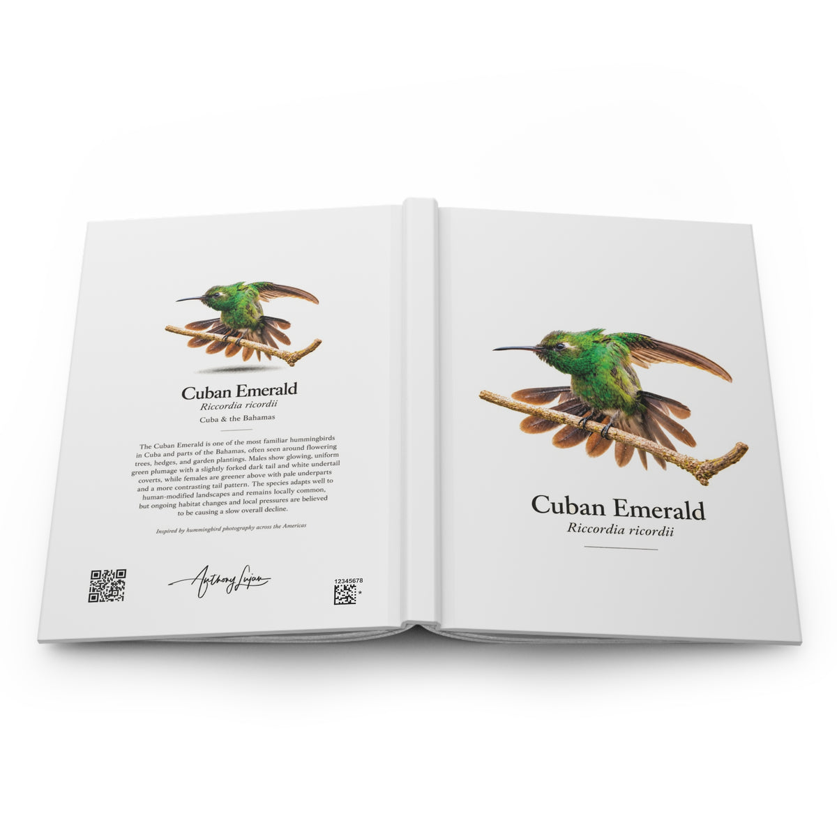 Cuban Emerald Hardcover Journal