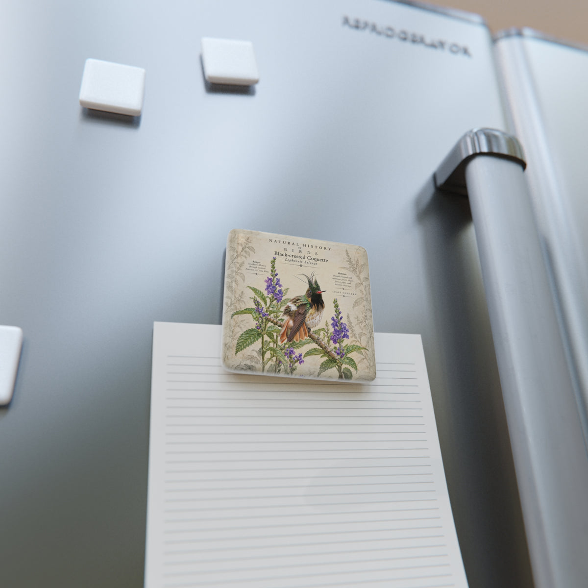 Black-crested Coquette Porcelain Tile Magnet