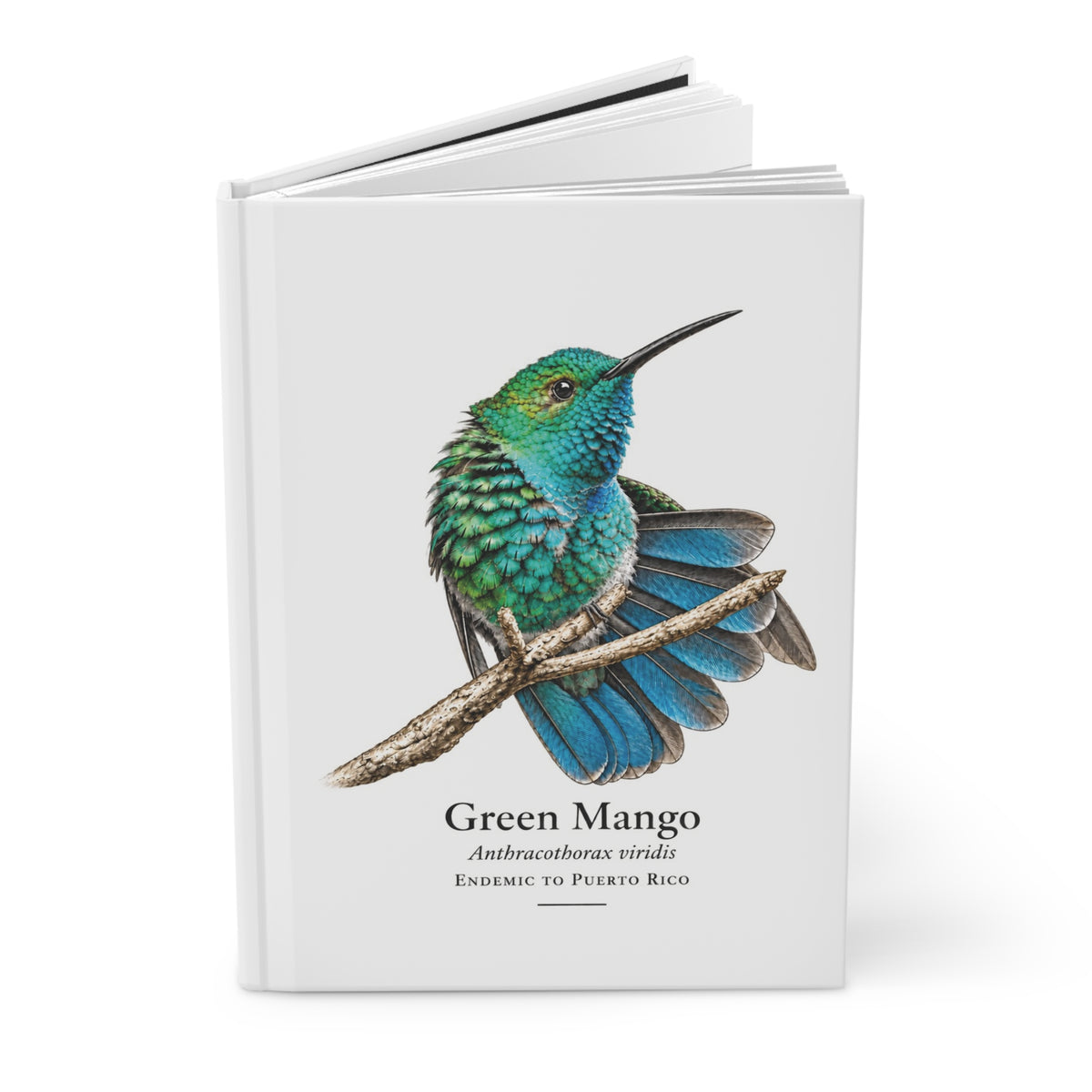 Green Mango Hardcover Journal