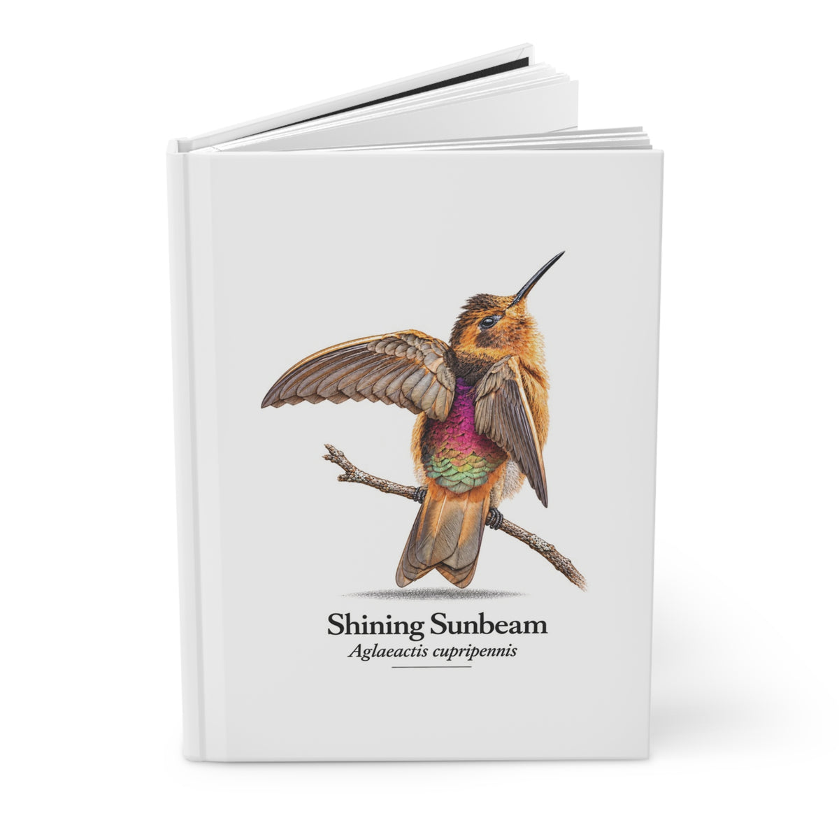 Shining Sunbeam Hardcover Journal
