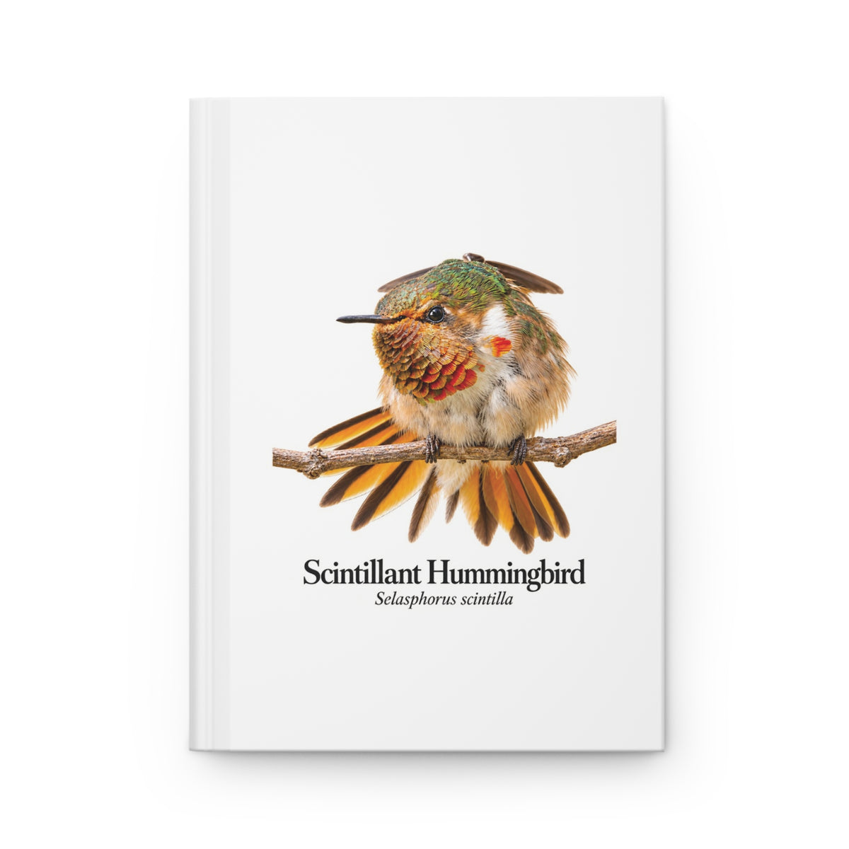 Scintillant Hummingbird Hardcover Journal