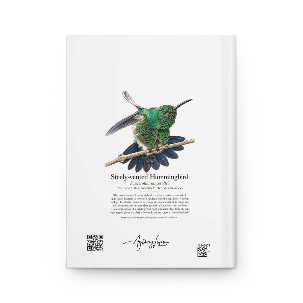 Steely-vented Hummingbird Hardcover Journal