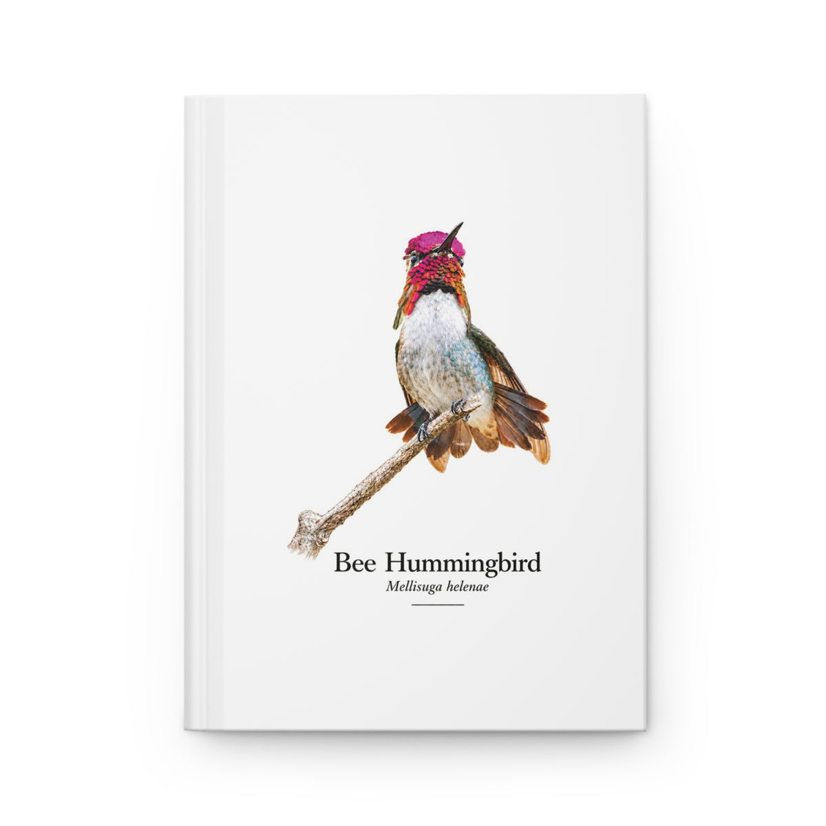 Bee Hummingbird Hardcover Journal