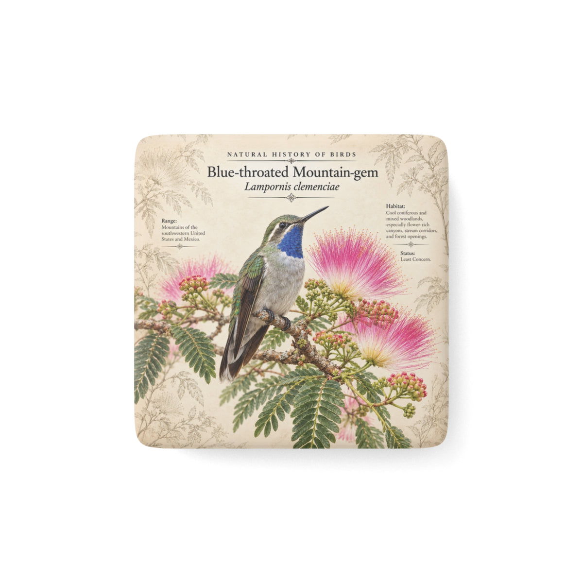 Blue-throated Mountain-gem Porcelain Magnet