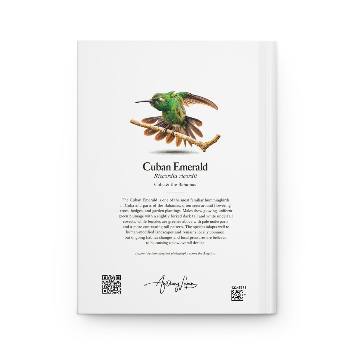 Cuban Emerald Hardcover Journal