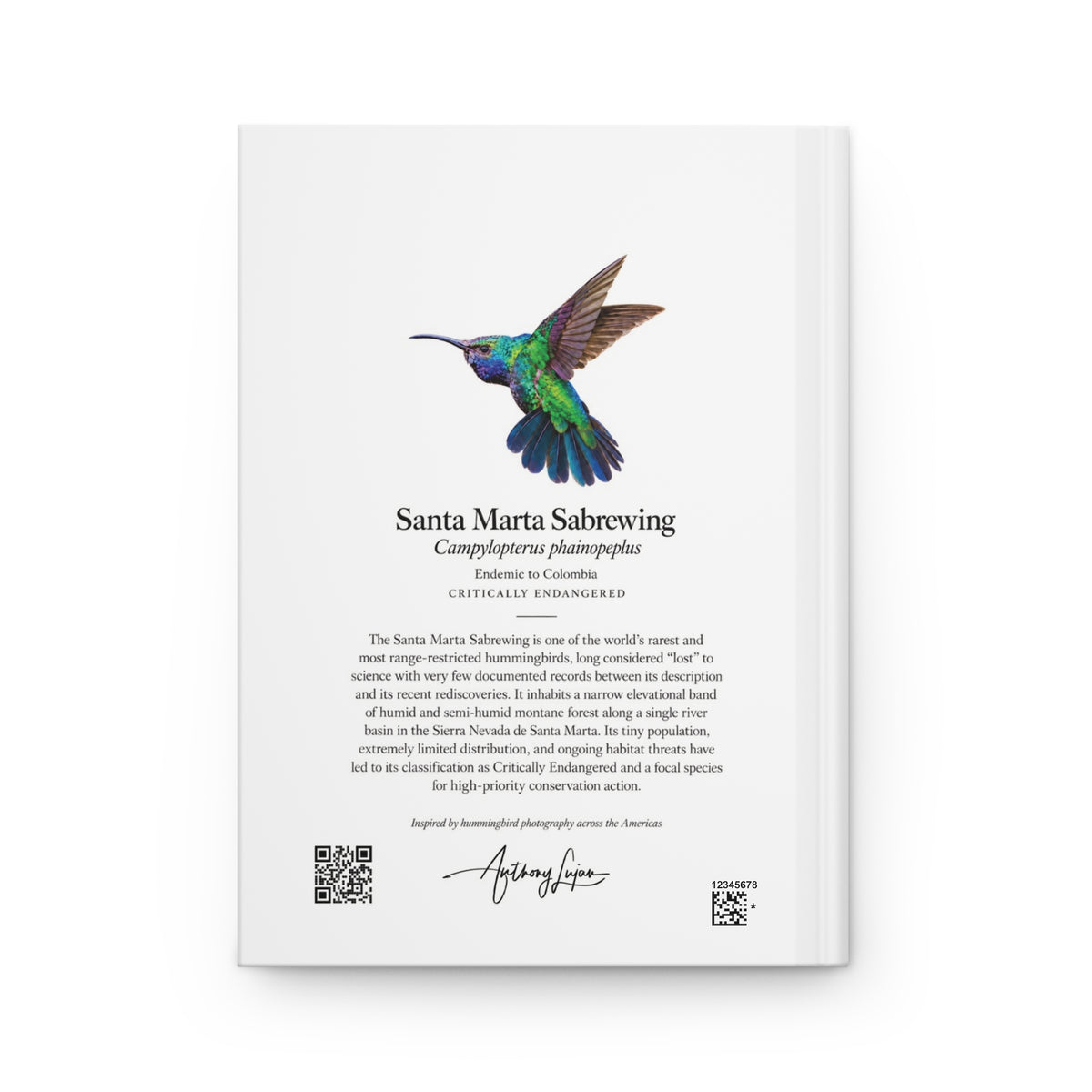 Santa Marta Sabrewing Hardcover Journal