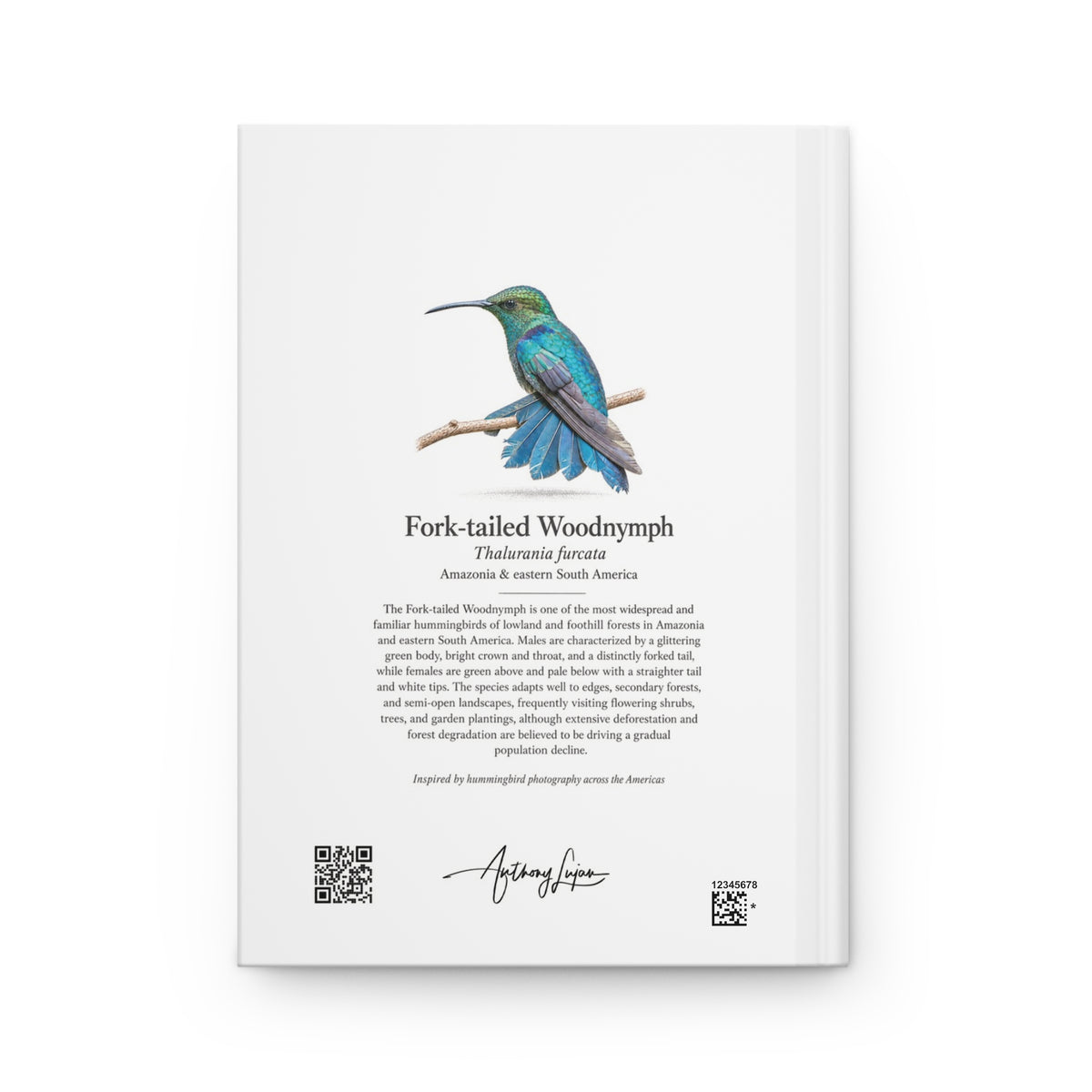 Fork-tailed Woodnymph Hardcover Journal