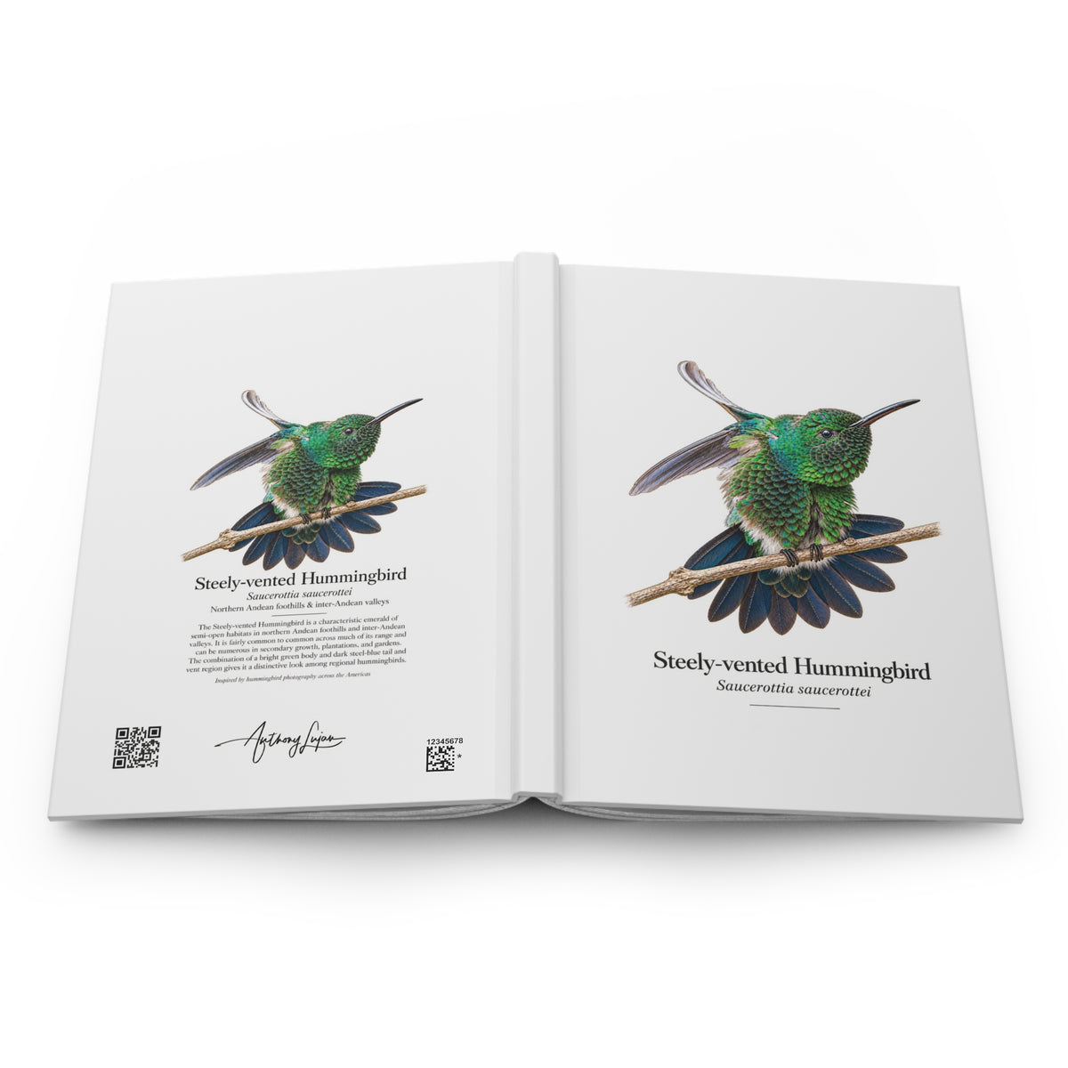 Steely-vented Hummingbird Hardcover Journal
