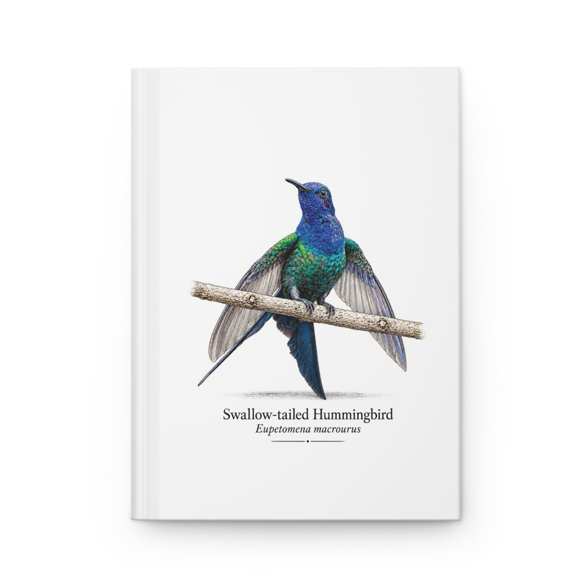 Swallow-tailed Hummingbird Hardcover Journal