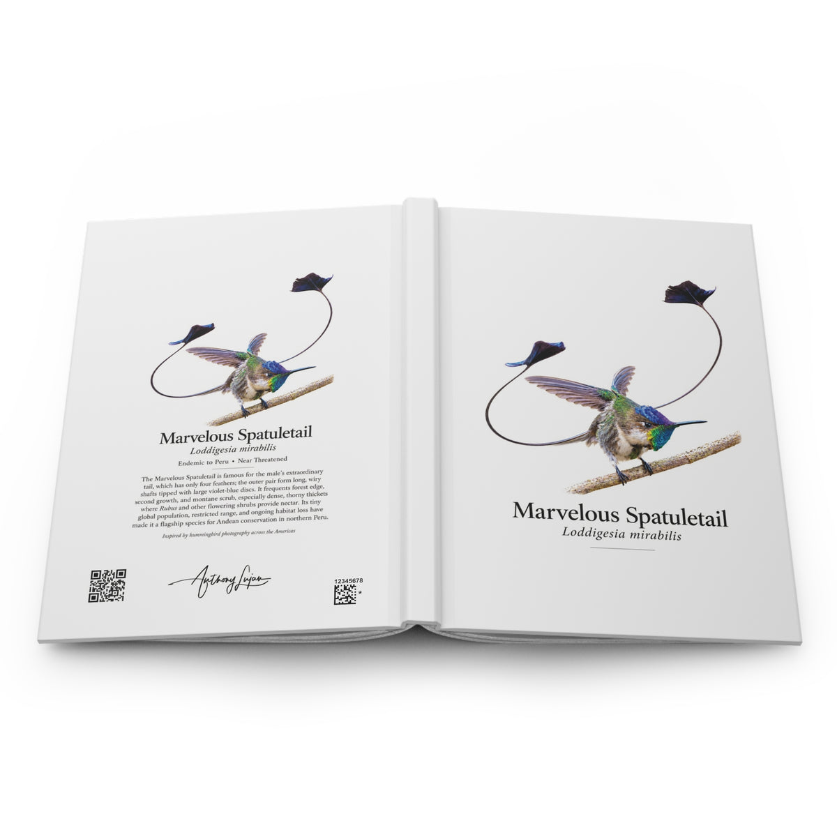 Marvelous Spatuletail Hardcover Journal