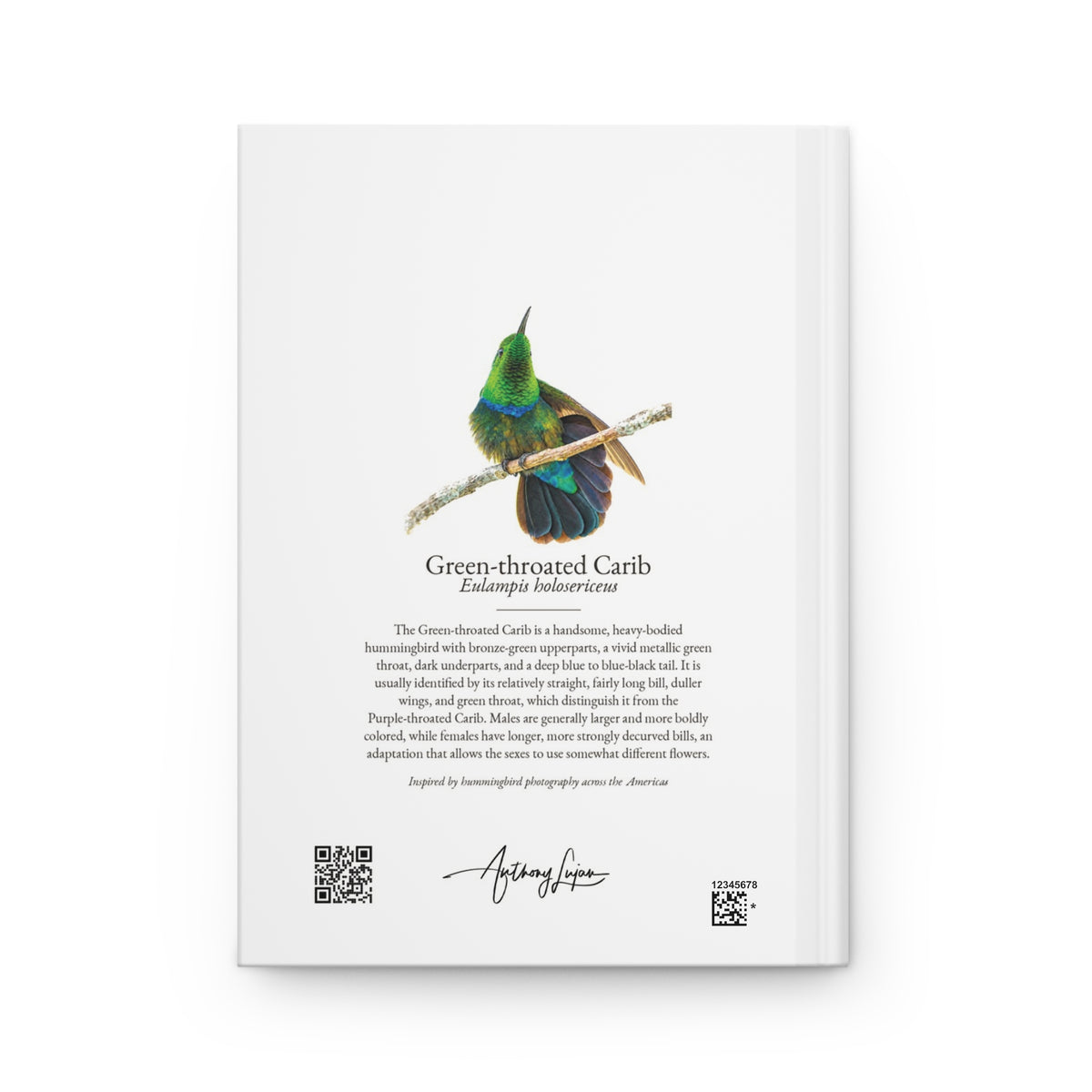 Green-throated Carib Hardcover Journal