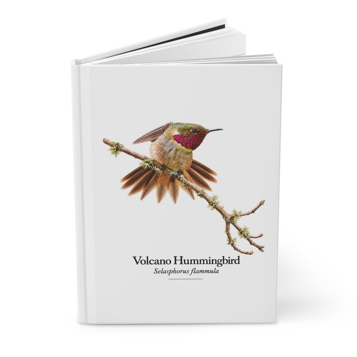 Volcano Hummingbird Hardcover Journal