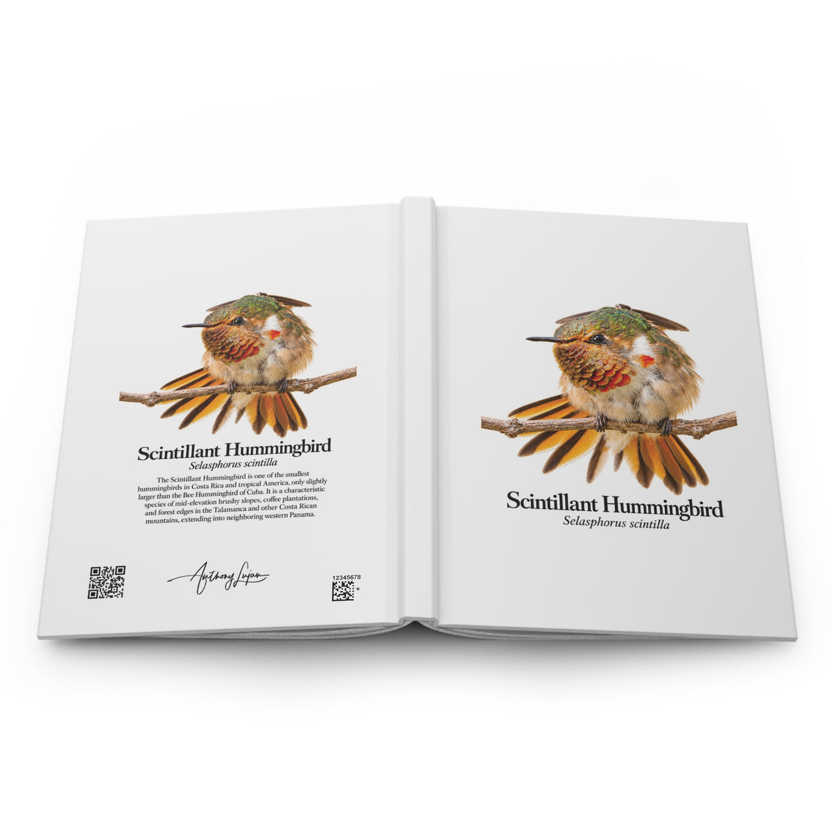 Scintillant Hummingbird Hardcover Journal